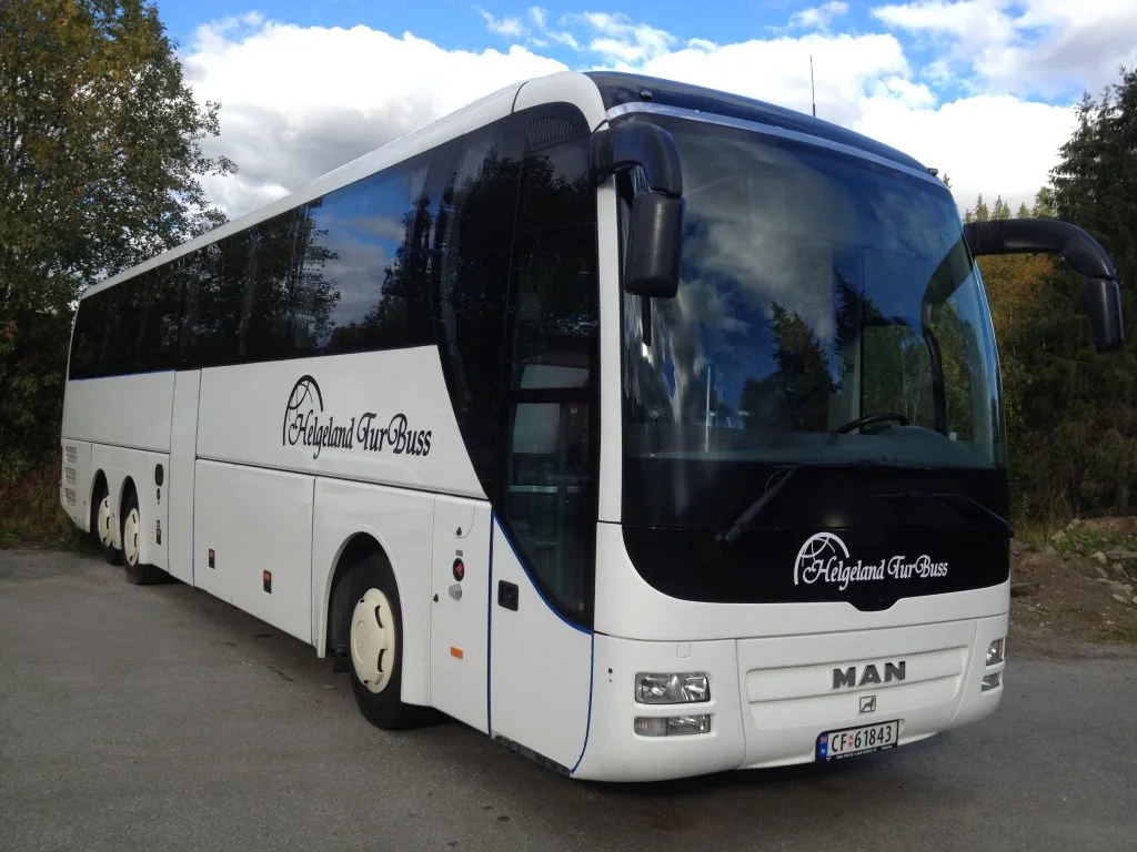 Lions Coach - bilde 2